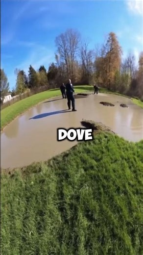 POV Police Bodycam Pig Escapes Cops by Diving Into the Mud 😂