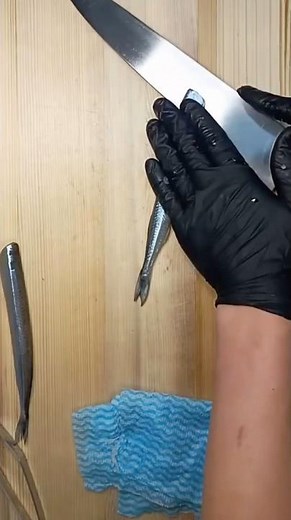 さよりのさばき方です！サヨリはねぎお寿司で唯一大名おろしにするお魚です！細長いので丁寧におろしてもなかなか身をいっぱいとるのが難しいからです！最近は宮城や淡路から入荷してます！綺麗で美味しいお魚です！