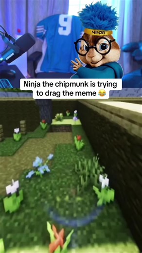 Ninja the chipmunk wont let it go #lowtaperfade #ninja #clix #fortnite #fyp #faze