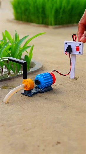 Water is being supplied to the corn field using an electric pump.#tractor