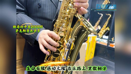 雅马哈萨克斯YAS-200DR音色分享