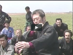 Masaaki Hatsumi Togakure-ryu Ninpo Taijutsu Vol. 1