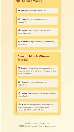 Types of Muscle Tissue: Skeletal, Cardiac, and Smooth