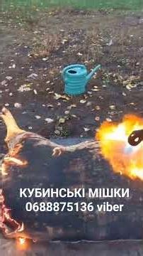 відправляємо Новою Поштою. Укр Пошта