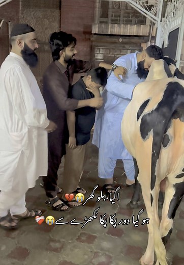 Emotional Journey of Rana Amaan Zargar