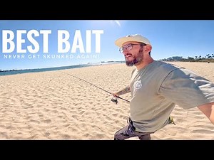 Long Beach California Fishing, The BAIT That Always Catches Fish