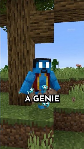 This mod adds a genie to #minecraft