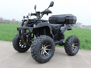 [Hot Item] High Power 2WD Electric ATV Adult off-Road ATV Fully Sealed Battery ATV