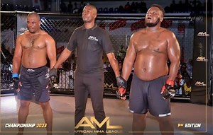 Arts martiaux mixtes : Un nouveau modèle économique pour les jeunes