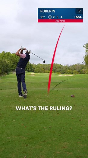 Playing it as it Lies in Golf: Rules and Relief Guidelines