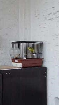 016 - 781 - 013 #timbrado🇹🇷🎼🎶🎵🎶