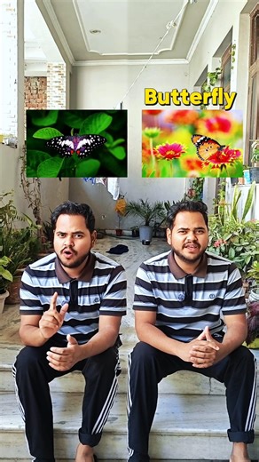 Stop Saying “Keeda”! Learn These 10 Insect Names in English 🦋