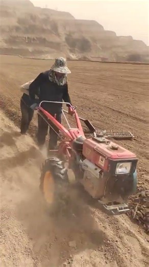 Experience the Loess Plateau's Timeless Tradition: The Harrow in Action