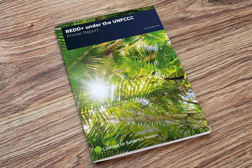 What is REDD+? - Coalition for Rainforest Nations
