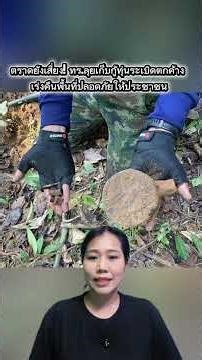 Trat province remains at risk! The Royal Thai Navy is actively clearing unexploded ordnance (M&S)...