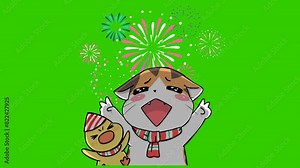 Vivid Animated Fireworks Celebration on Green Screen for Chroma Key