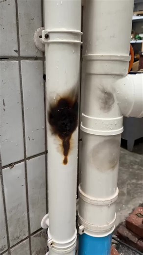 Join the LIVE Incentive Program for Fans