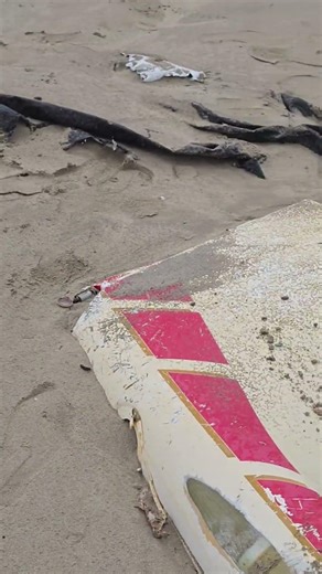 A Jet-Powered Target Drone (BQM-74 Chukar) on the Beach! #irondome #haifa #israel #warzone #iran