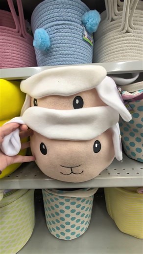 Dollarama Finds Worth Buying