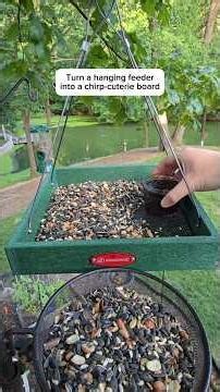 This is your sign to create a chirp-cuterie board using this hanging platform feeder #kingsyard