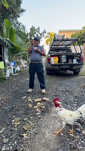 Buenos dias my beautiful gente! | Vega Painting Touch