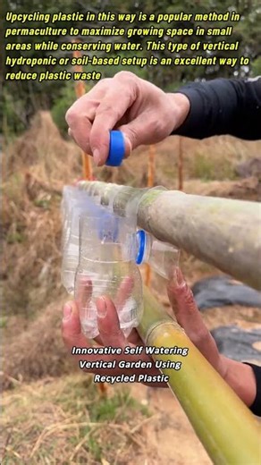 Innovative Self Watering Vertical Garden Using Recycled Plastic