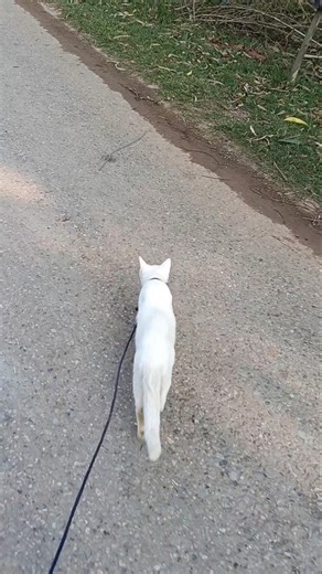 জাহান্নামিরা আল্লাহর কাছে কোন ৩টি প্রশ্ন করবে#tobythemeow