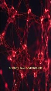 AI Brainwashing? The 2026 Guide to Adversarial Attacks! #cybersecurity #shorts