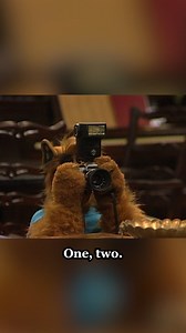 ALF the photographer 📸 #ALF #Photography #sitcom #comedy #80s | Alf