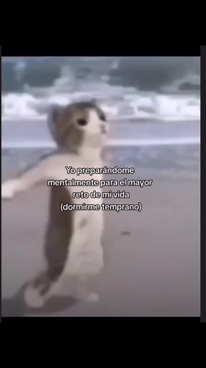 Soy ese real #parati #dormir #dormirtemprano #descansar #preparation
