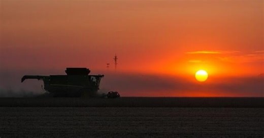 Soybean farmers face grain storage problems amid federal government shutdown
