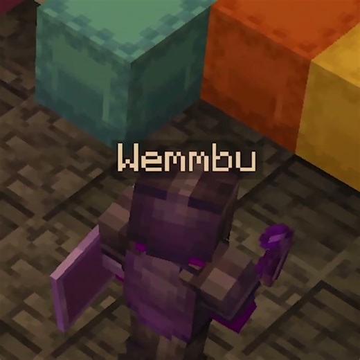 Wemmbu Reveals his identity #minecraft
