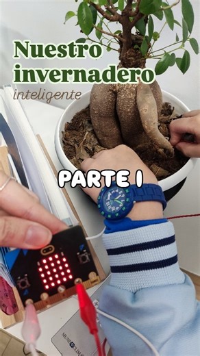 Nerea Tejada Pérez | Hace varias sesiones empezamos nuestro proyecto de "Huerto inteligente". Hemos estado definiendo objetivos, haciendo los bocetos de... | Instagram