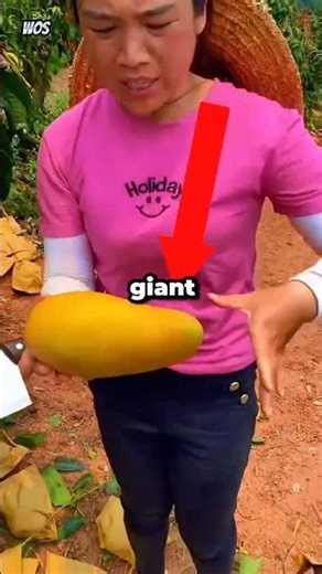She Grew The Largest Mango In The World!🤯💀#shorts