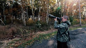 Attention Birders! Check out this super video here by renowned, award winning bird photographer Kristofer Rowe Photography, featuring the new Tamron SP 150-600mm G2 and 1.4x teleconverter. | Tamron Americas