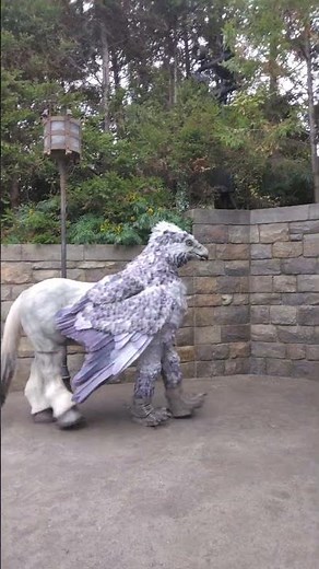 USJ ハリー・ポッターエリア ヒッポグリフ、生徒さんお見送り #ユニバ #usj
