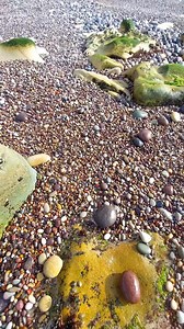 The creation of Brecciated Jasper begins with the fracturing of pre-existing jasper. Tectonic activity or powerful impacts shatter the stone into angular fragments, which then naturally cement together. The cement, often composed of silica or iron oxides, forms within sedimentary or hydrothermal environments. Iron oxides contribute reds and browns, while other minerals create yellows, greens, and blacks. | Omar Nacer
