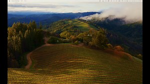 Screen Recording 2023-12-12 at 1.19.44PM