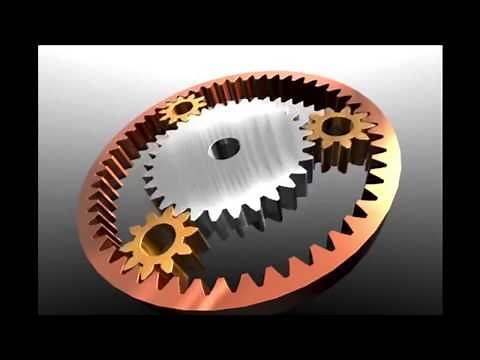 1.2 What is a Mechanistic Model?