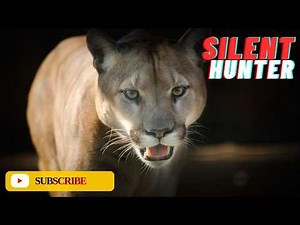 Puma: Insane Biology and Incredible True Facts