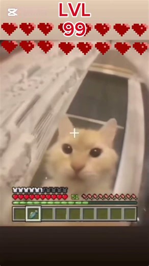 Tutorial de NPC em 13 segundos 😂#cat #minecraft #meme #boss