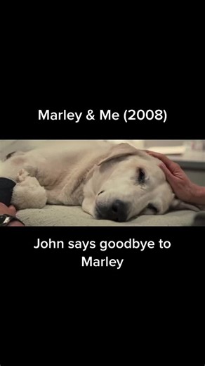 Marley and Me: A Tribute to a Great Dog