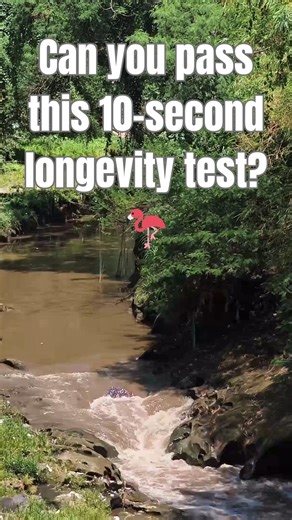 Can You Pass This Balance Test?🦩(Flamingo Test 50+) #Shorts #healthyaging #balance