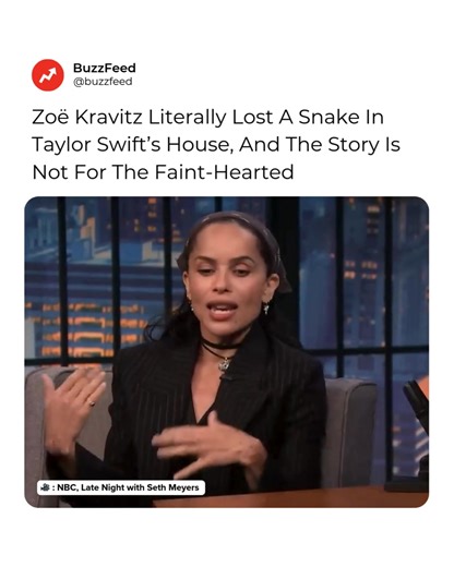 BuzzFeed Ladylike on Reels