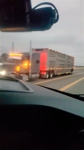 West Coast Truck Spotting: Incredible Custom Big Rigs & Chrome