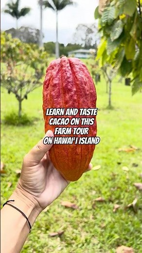 🍫 LEARN ABOUT AND TASTE CACAO AT THIS HAWAIʻI ISLAND FARM 🚜