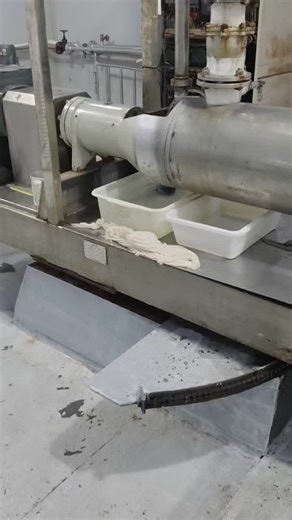 What you see in the image is cooled gelatin being extruded into strips by a gelatin extruder. This “noodle-like” form actually ensures more uniform heating and stable dehydration during subsequent… | Daisy Qi