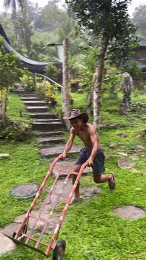 Exploring Toothless Building Trends in Bohol