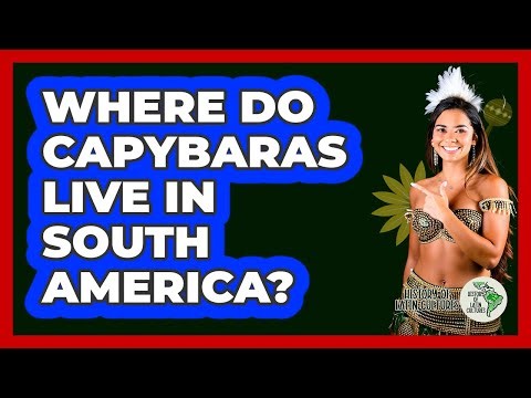 Where Do Capybaras Live In South America?