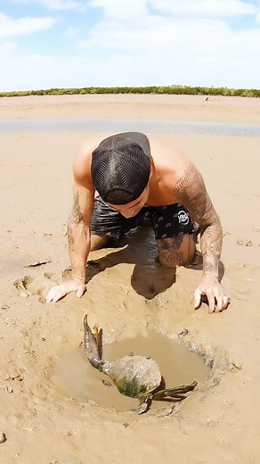 Brodie Moss on TikTok